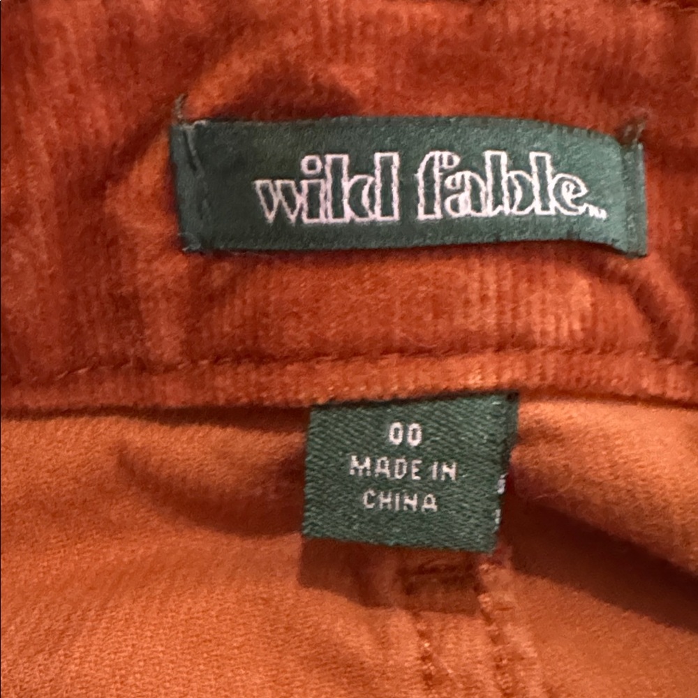 Wild Fable Burnt Orange Brown Corduroy Low Rise Flare Leg Pants Womans sz 00 - Picture 2 of 8